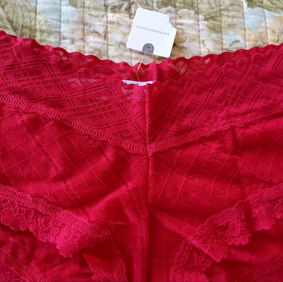 NWT Hanky Panky Vibrant Red Lace Panty, Size L - Picture 5 of 13